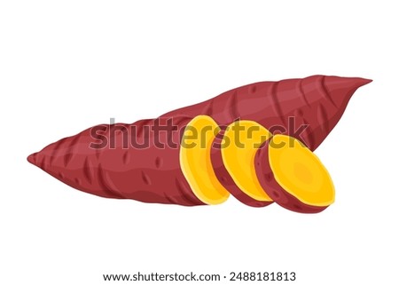 Sweet Potato vector. Sweet Potato on white background.