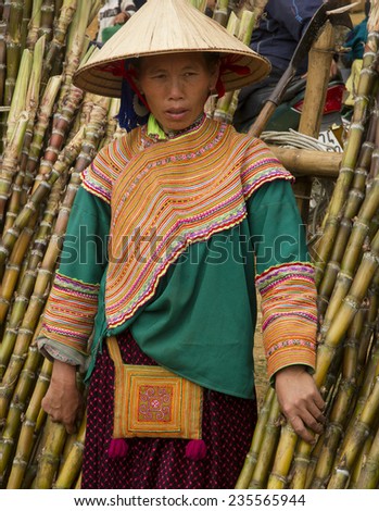 Bac Ha, Vietnam - 17 June 2013 : A Flower Hmong woman is selling bamboo at Bac Ha Week end market, North Vietnam.