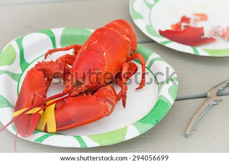 fresh cooked whole lobster  on white paper plate