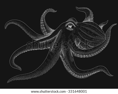 Octopus. Black And White Illustration - 331648001 : Shutterstock