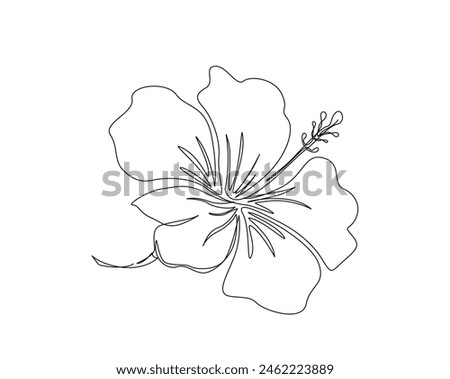 Hibiscus Flower Drawing | Free download on ClipArtMag