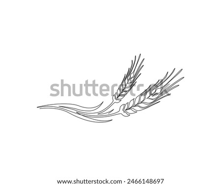 Continuous one line drawing of wheat. Barley or Rye outline vector illustration. Editable stroke.