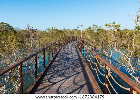 Mangrove walk seaside promenade public park in Jubail island Abu Dhabi, UAE