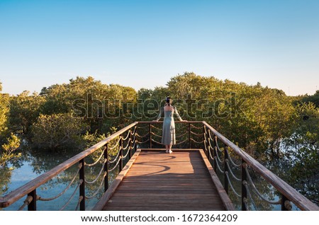 Female tourist visiting Mangrove walk seaside park in Abu Dhabi, UAE