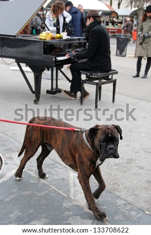 LJUBLJANA, SLOVENIA - MARCH 2: D. Martello plays piano on Butcher\'s bridge, leading to vegetable market, Ljubljana, SI, on March 2, 2013. Buyers and visitors of the market are his impressed audience.