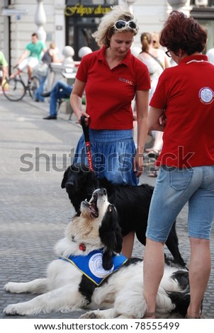 LJUBLJANA, SLOVENIA - MAY 27: Society for therapy using dogs present themselves at international festival Play with me (for children and adults with special needs). Ljubljana, SI,  May 27, 2011.