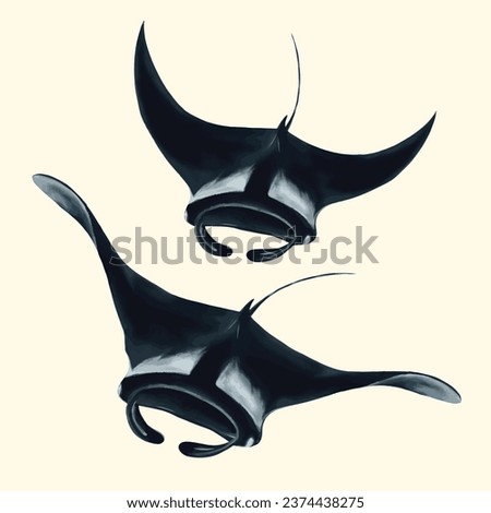 Manta rays in the ocean vector illustration.