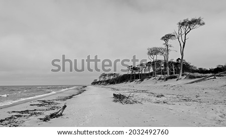 the west beach at Ahrenshoop shortly before Prerow in black and white, Fischland-Darß, Mecklenburg-Western Pomerania, Germany Stockfoto © 