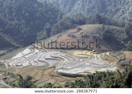 Terraced rice fields. Terraced rice fields with old houses on sapa,Laocai, Vietnam
