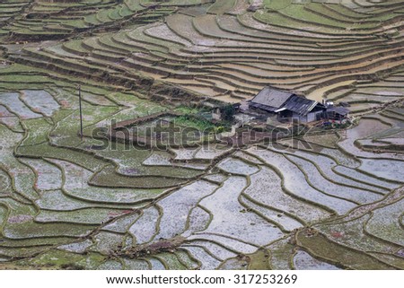 Terraced rice fields - Terraced rice fields with old houses on the fog - on sapa , Vietnam Laocai, Vietnam JAN 10, 2015