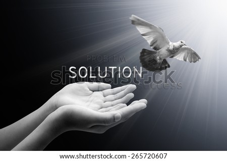 Hand releasing a bird into the air  solution concept  , peace and spirituality