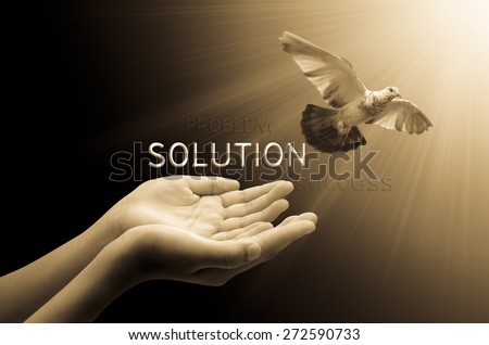Hand releasing a bird into the air solution concept , peace and spirituality