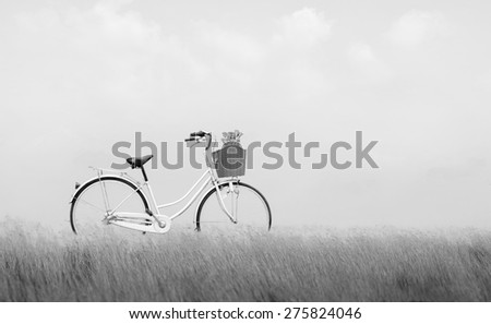 Bicycle on nature black and white