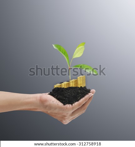 Plant on hand , growth development ecology concept