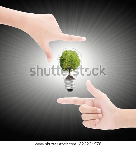 Hands framing   tree in  lightbulb