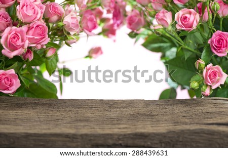 Big Roses Bouquet. branch of pink roses