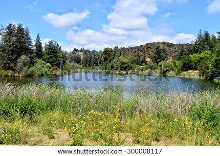 Beautiful lake at the bottom of the Franklin Canyon. Los Angeles, California.