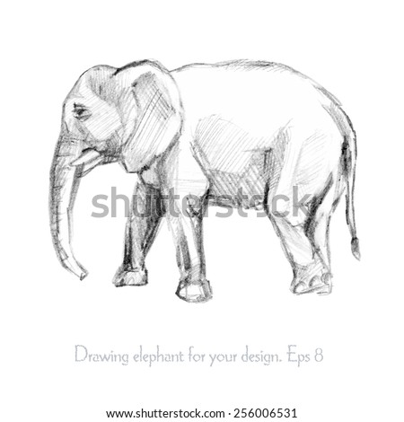  Pencil sketch of an elephant . Vector illustration EZ Canvas