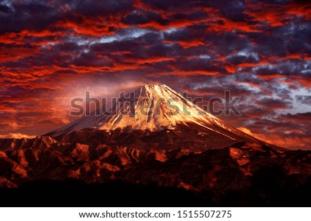 Shutterstock Puzzlepix