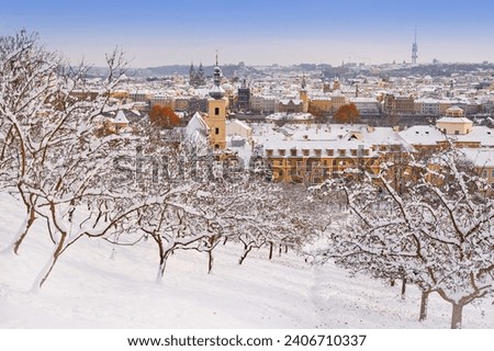 Similar – Image, Stock Photo Garden in winter Evening