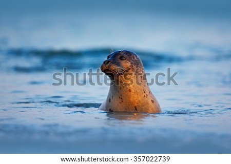 Similar – Image, Stock Photo dark blue mud at dusk Mud