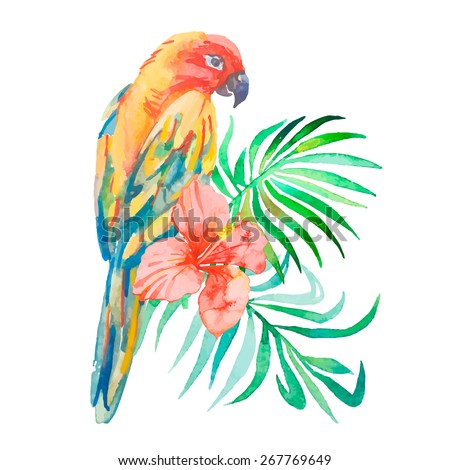 Tropical birds isolated on white background. Parrot. Art. Vector.