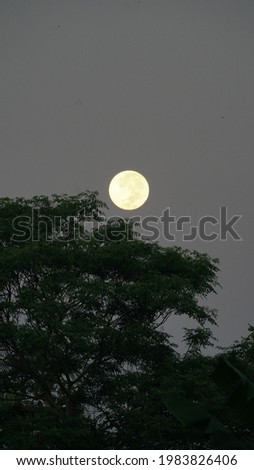 Similar – Foto Bild Vollmond hinter Baumzweigen bei Nacht