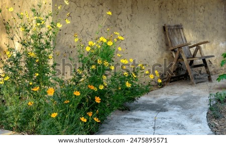 Similar – Image, Stock Photo Vintage wooden chair next to trash bin on the public street