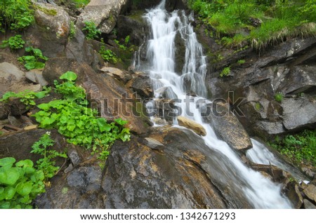 Spring Rill