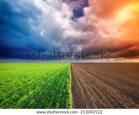 Cultivated green meadow and heavy sky clouds. Rural scene.