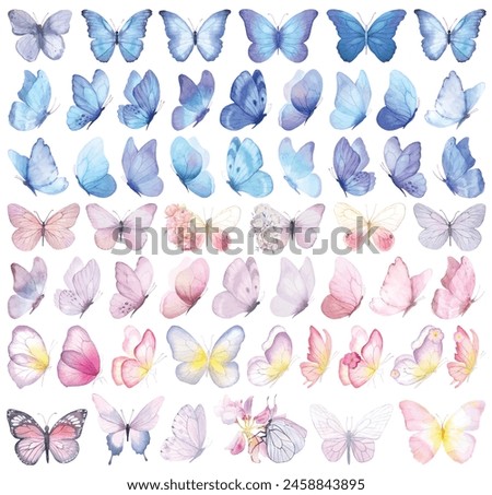 Butterfly collection. Watercolor illustration. Colorful Butterflies clipart set. Baby shower design elements. Party invitation, birthday celebration. Spring, summer decoration. Bright, hand painted