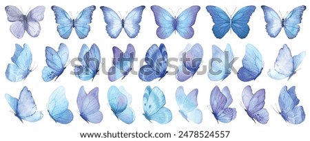 Butterfly collection. Watercolor illustration. Colorful Butterflies clipart set. Baby shower design elements. Party invitation, birthday celebration. Spring, summer decoration. Blue navy color vector