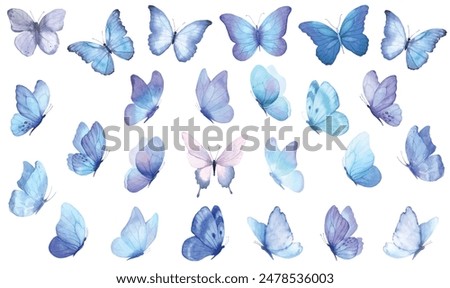 Butterfly collection. Watercolor illustration. Colorful Butterflies clipart set. Baby shower design elements. Party invitation, birthday celebration. Spring, summer decoration. Blue navy color palette