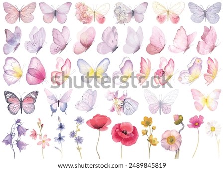 Butterfly collection. Watercolor illustration. Butterflies clipart set. Baby shower design elements. Party invitation, birthday celebration. Spring, summer decoration. Pink yellow color meadow flowers