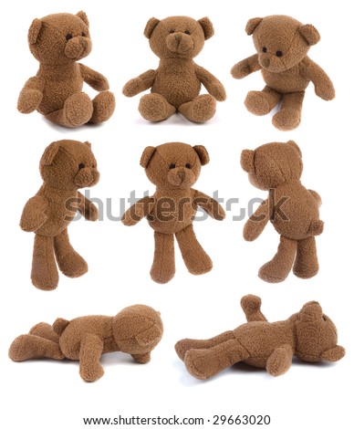 Many brown teddy bears isolated on white - all in hi-res