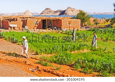 Lake Nasser, Egypt - January 21, 2015: People working in the field in the rural area by the Lake Nasser in Egypt.