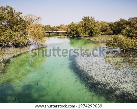 Spectacular beauty of Al jubail mangrove park in Abudhabi,UAE.