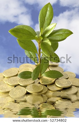 Concept of a plant and coins to grow on the water