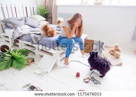 Dogs In