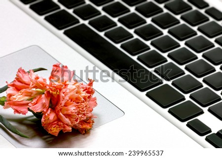 On the keyboard of flowers