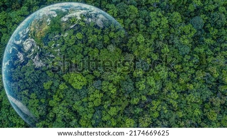 Aerial top view green forest with earth, Green planet in your hands, Save Earth, Texture of forest view from above ecosystem and healthy environment. ストックフォト © 