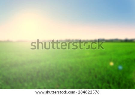 Blurred background of green plain field with blue sky