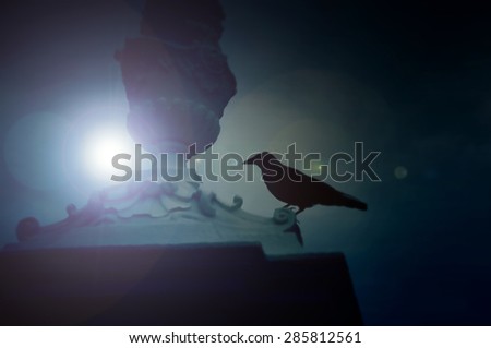 Black raven sitting on the ledge in the moonlight