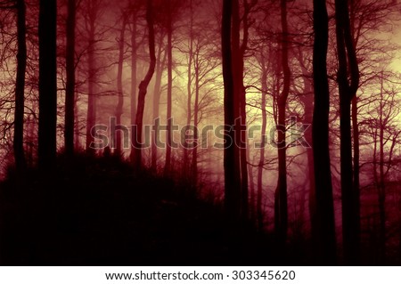 Dark red forest with a mysterious mist