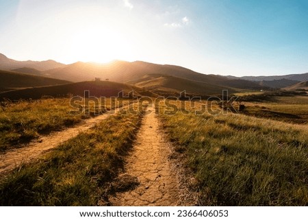 Similar – Image, Stock Photo Landscape with dirt road between blooming sunflower fields meadow on summer day in sunset rays. Agriculture, fields and pastures. Nature design. Agriculture of production of sunflower oil and seeds