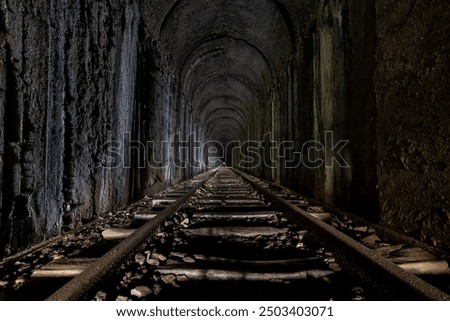 Similar – Image, Stock Photo Tunnel in a historic bunker complex.