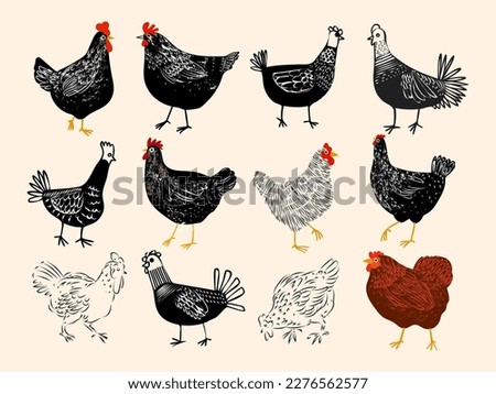 Set of chicken, hen, rooster poultry farm animal icon hand drawn vector illustration.