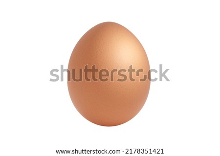 Raw brown egg isolated on white background with studio lighting. Fresh chicken egg representing healthy ingredients containing proteins and organic alimentation. Nutritious farm grown aliment to eat. Imagine de stoc © 