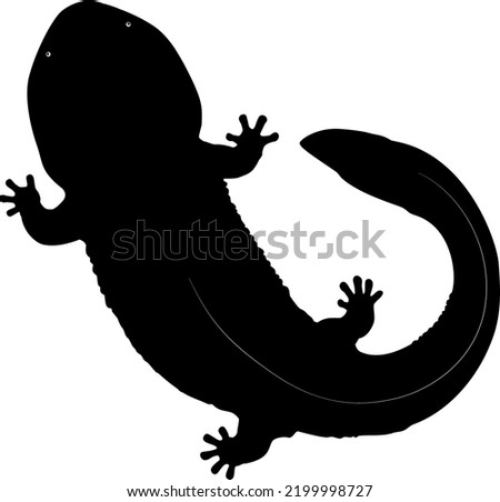 Japanese giant salamander silhouette illustration