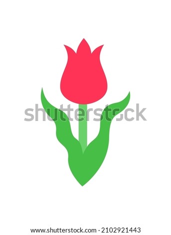 Red kaufman s tulip.Vector color icon isolated on white.